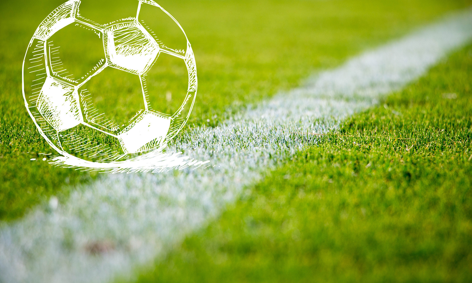 为代表的新 为代表的新