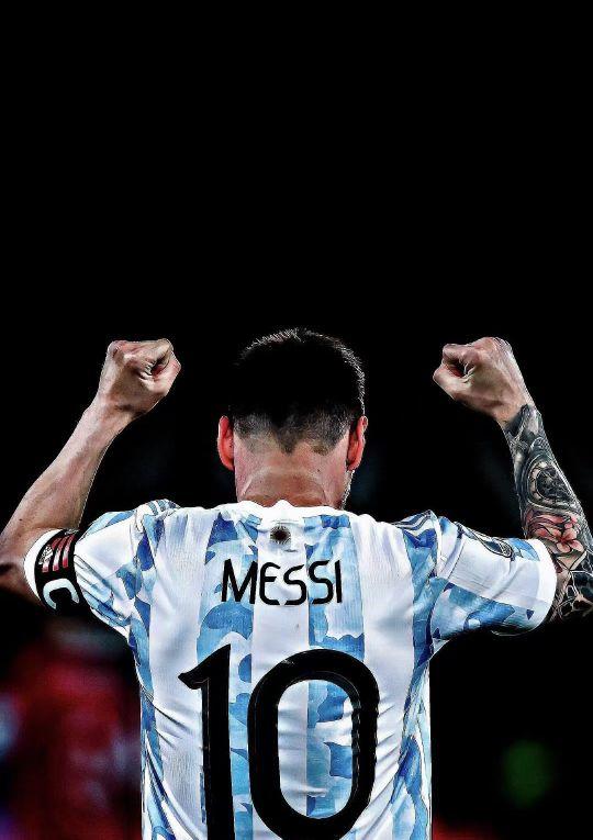 体育山东鲁 体育山东鲁