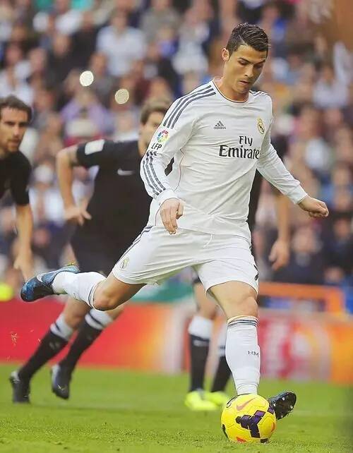 的成绩证明 的成绩证明